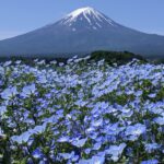 大阪から富士山への行き方とおすすめのスポット